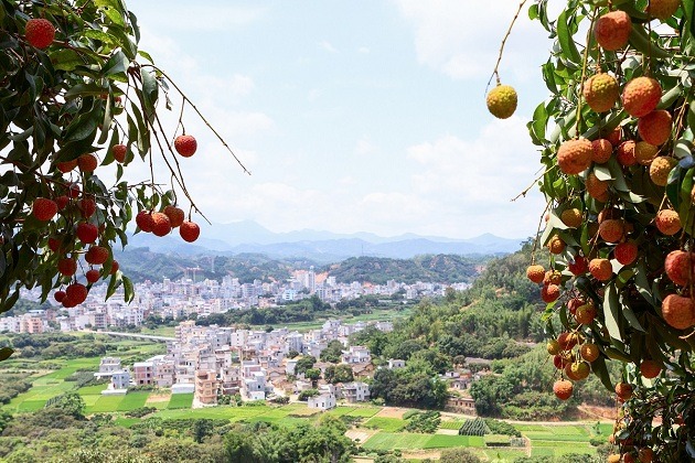 Maoming, Guangdong province