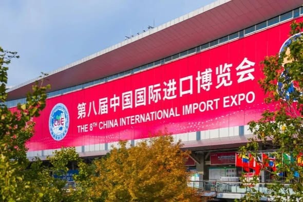 Daxing Engages Global Partners at CIIE to Boost Investment and Innovation
