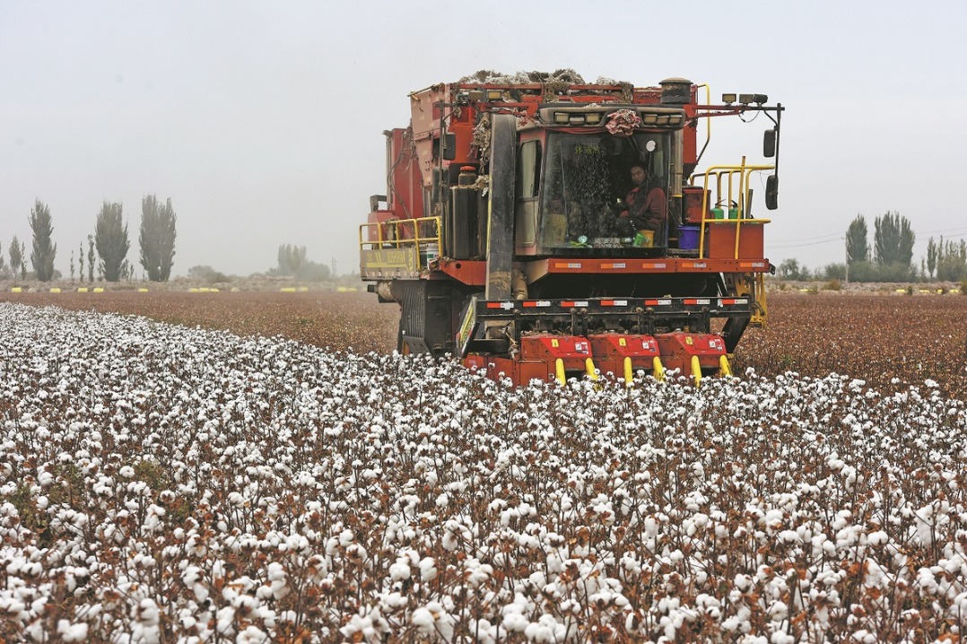 Xinjiang sees record grain, cotton outputs