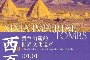 Touching legacy of the Xixia Imperial Tombs at Jiangsu exhibition