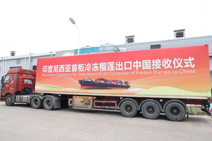 Direct China-Indonesia sea route for fruit exports opens with durian shipment