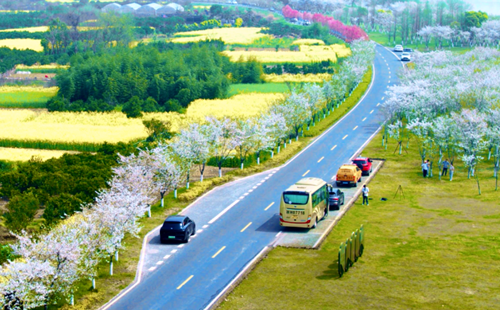 Quzhou makes progress in improving quality of life of its residents