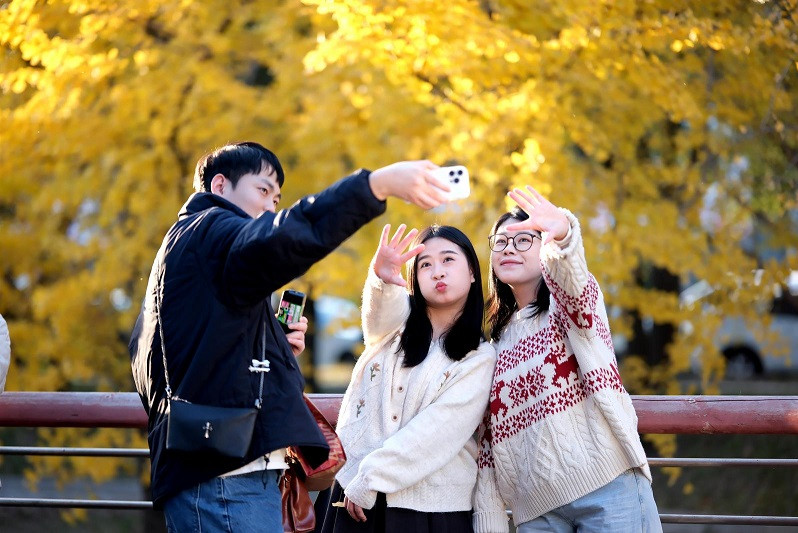 Ginkgo forest in Nantong dons 'golden armor'
