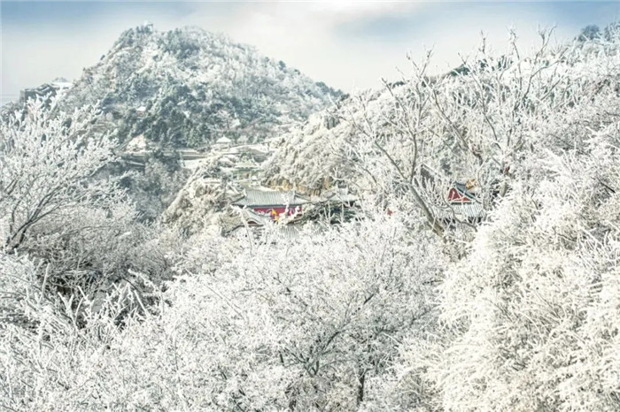 Frozen wonderland of Taishan Mountain