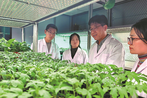 Plant scientist has life's work honored