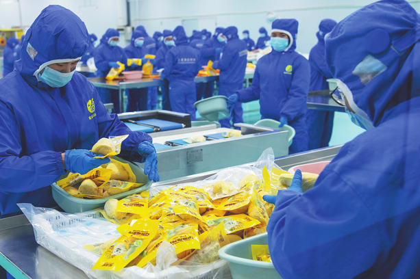 First shipment of Indonesian durian enters China