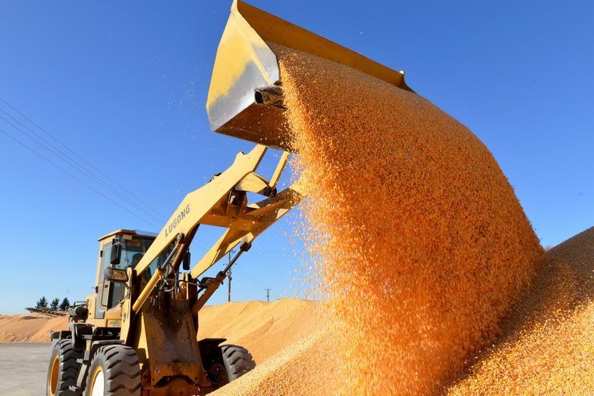 China's grain output hits new high in 2025