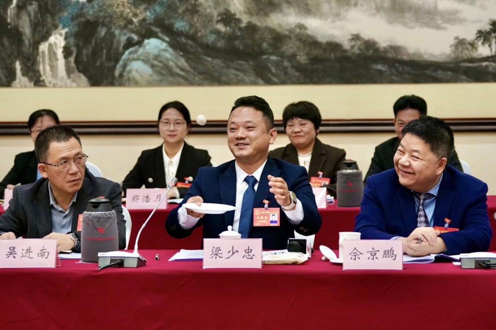 Bouncy fish ball captures the attention of Guangdong deputies