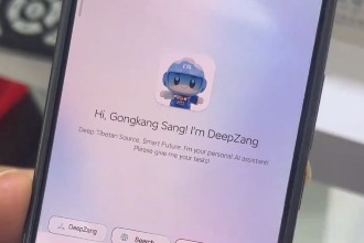 AI innovations to bolster Xizang's digital economy