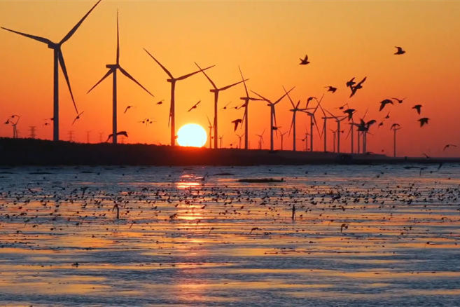 Video: Meet you in Nantong this winter