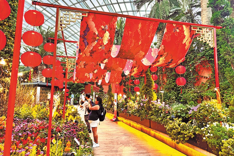 Expertise blooms in Singapore