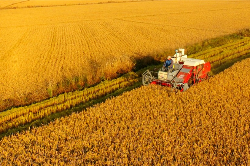 China to expand agricultural trade while ensuring food security
