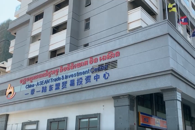 Chinese firms maintain steady momentum in outbound investment in 2025: survey