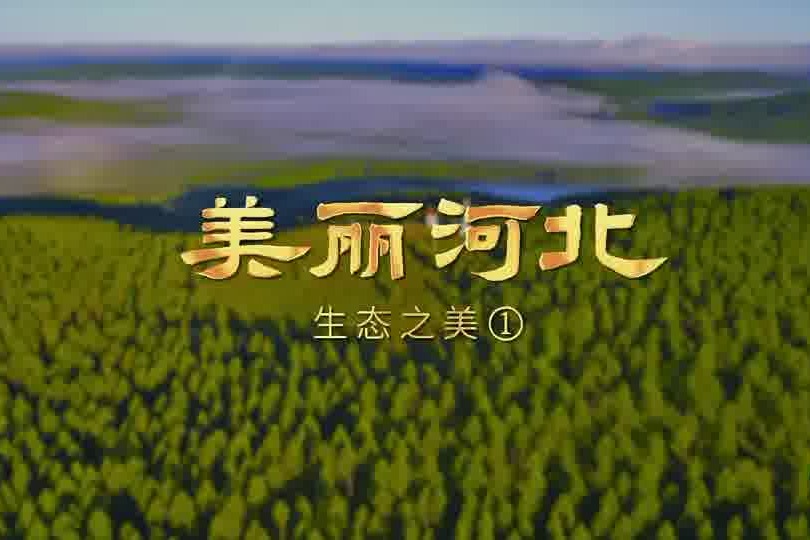 Video series aims to show the beauty of Hebei