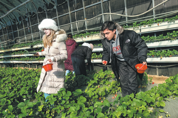 Deepening roots of understanding