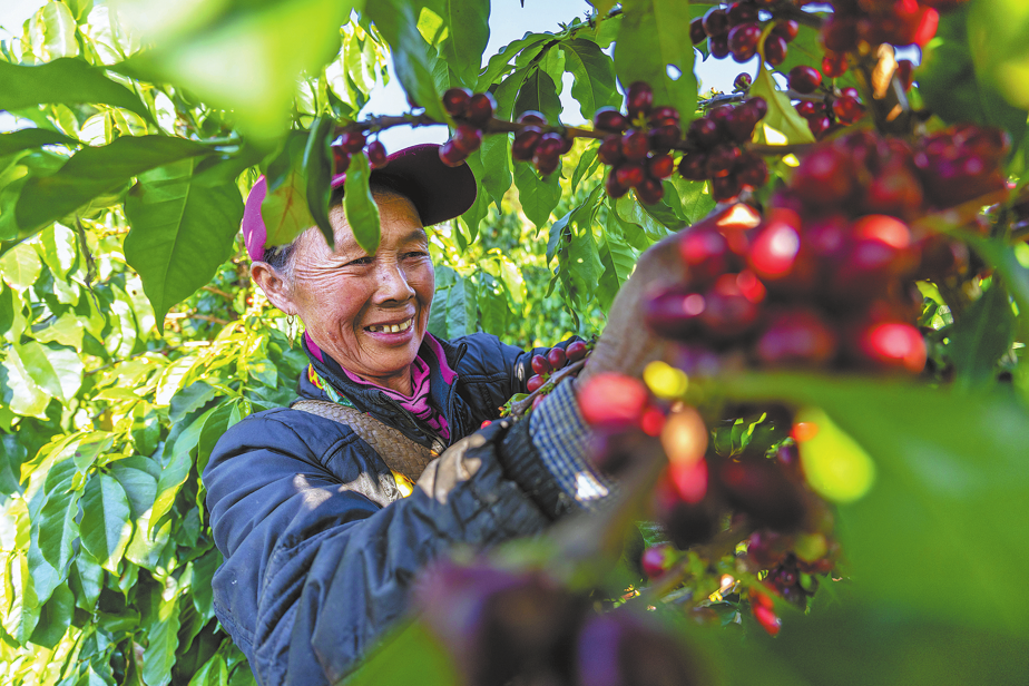 Domestic demand takes center stage