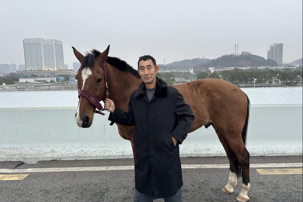 Horse whisperer calms and secures a runaway on road in Hubei