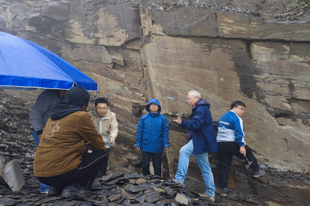 Soft-bodied fossil deposit in Hunan's Huayuan fills gap in Earth's history