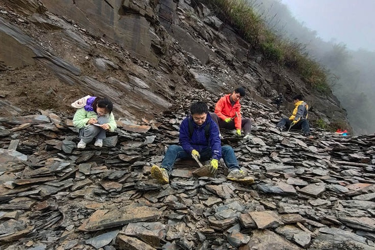 Chinese fossil find illuminates Earth's earliest mass extinction