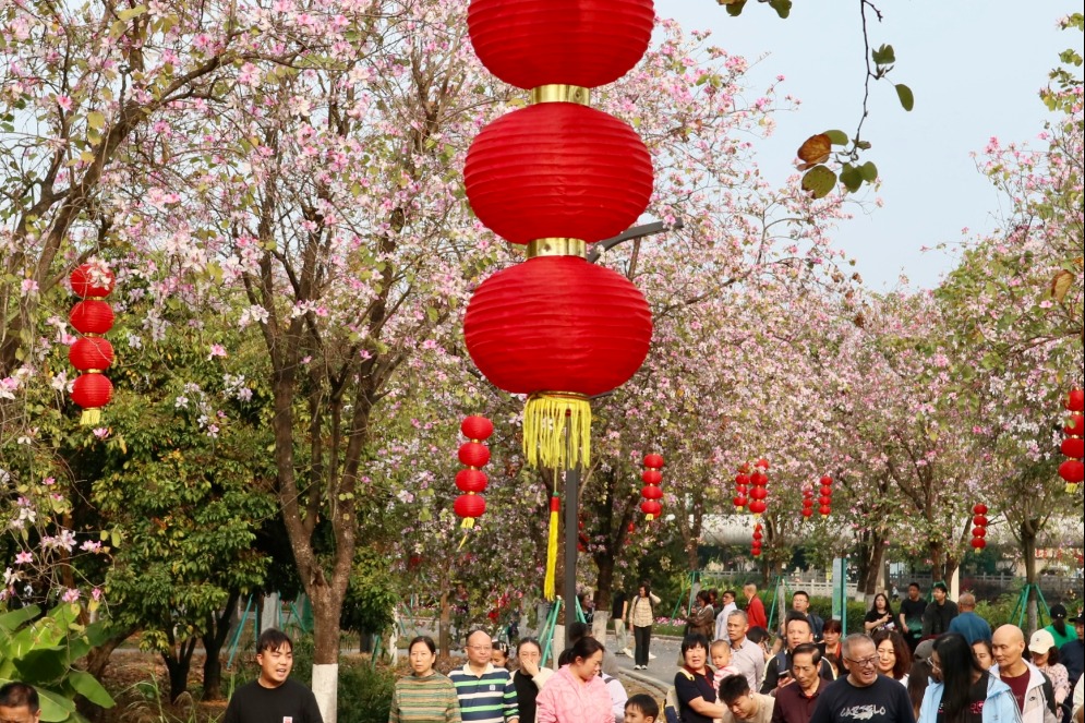 White and pink flowers in full bloom in Guangzhou