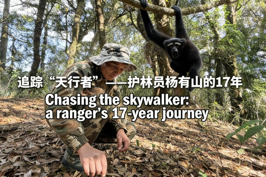 Chasing the skywalker: A ranger's 17-year journey