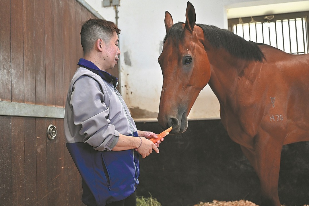 Guangzhou to bring back horse racing after 27 years