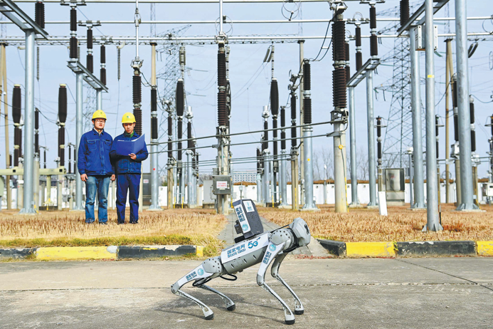 China builds tech-savvy hybrid grid system