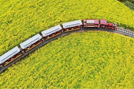 Embrace spring in Shandong