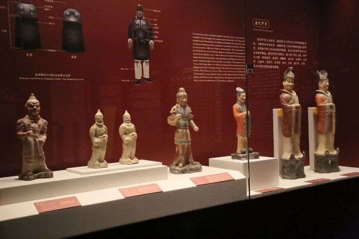 Inside the Tang Dynasty golden era at Shenzhen exhibition