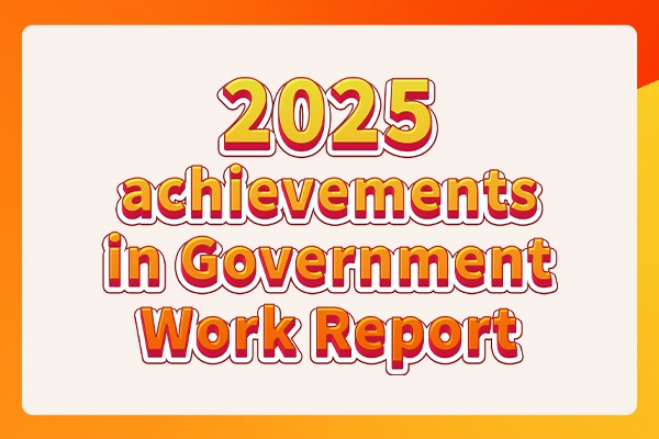 2025 achievements in Government Work Report