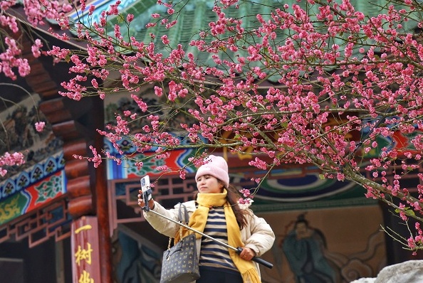 Guizhou Plum Blossom Garden opens after expansion