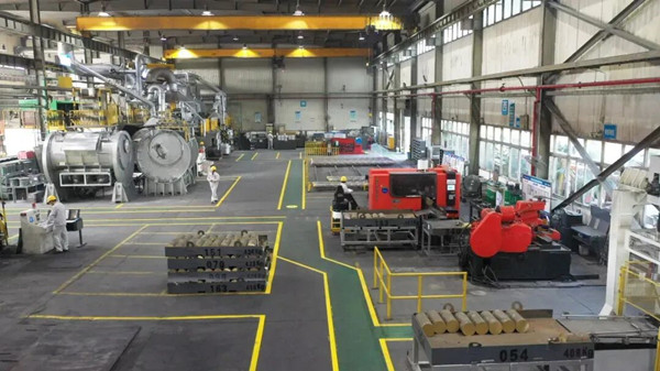 WEDZ advances SME digital transformation 