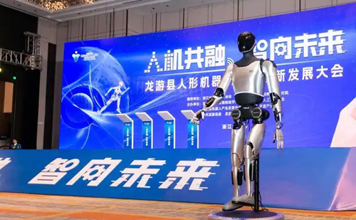 Quzhou's Longyou county pioneers humanoid robot manufacturing