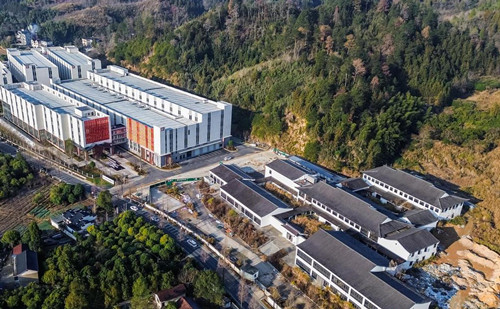 New park in Quzhou's Kaihua drives innovative growth of tea industry