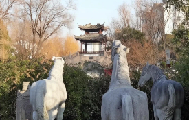 How horses shape Yangzhou's place names