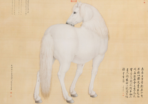Qing Dynasty court painting captures a white horse glancing back