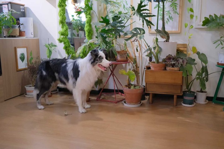 'Happiness economy' can drive growth, adviser says