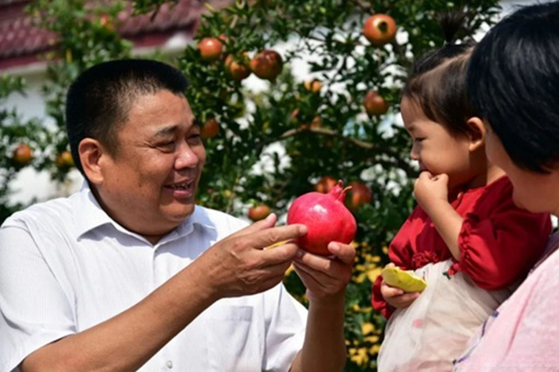 Zhang Dianzhuang: From Qufu's village to National People's Congress