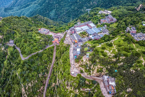  Shandong sees sustained progress in afforestation and urban greening