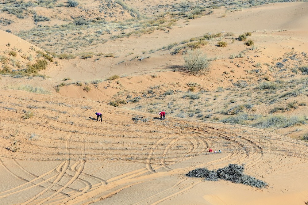 China extends 'green wall' in battle against desertification