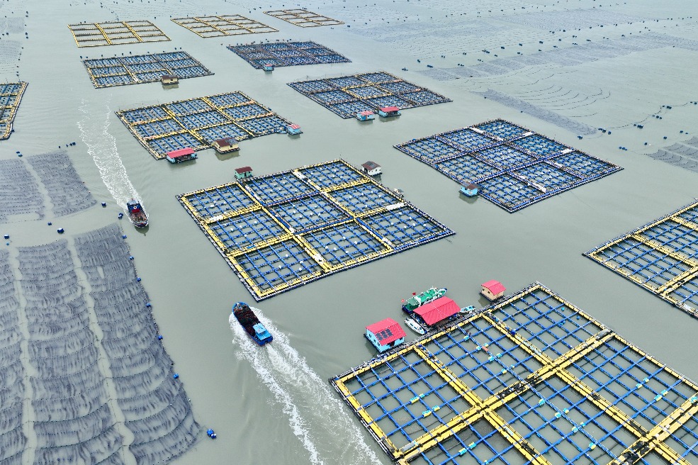 Tech advances sustainable aquaculture