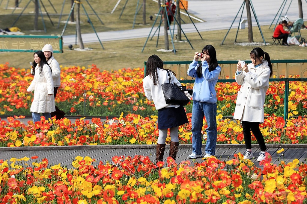 Sichuan college announces dates of annual Spring Holiday