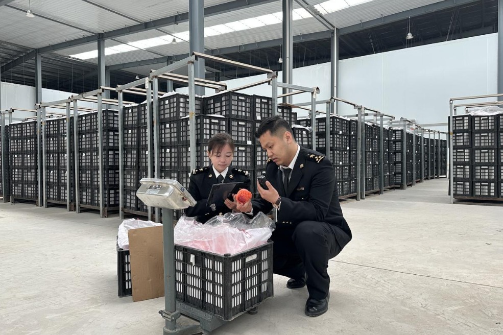 Gansu's foreign trade surges 16.6% amid expanding Belt and Road ties