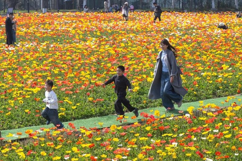 Better social safety net to boost consumption