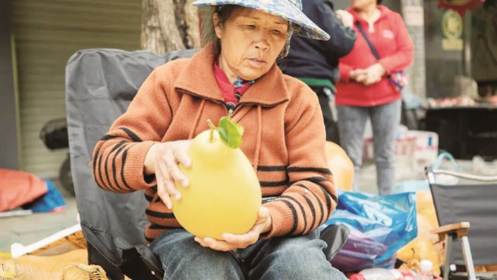 Hechi's Huanjiang pomelos hit the market