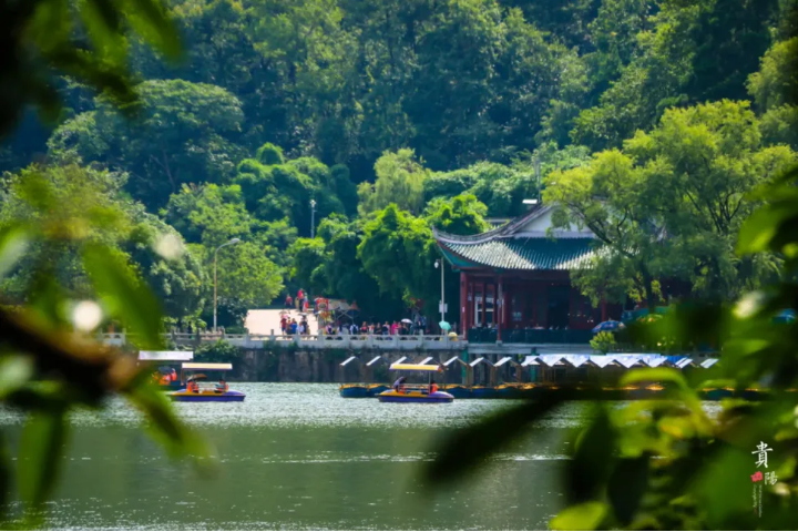 Four Guiyang parks for fresh air, forest walks, and quiet views