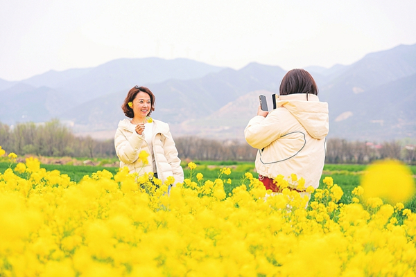 山西赏花经济_副本.jpg