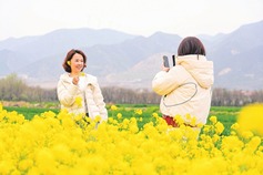 Shanxi boosts 'flower-viewing economy'