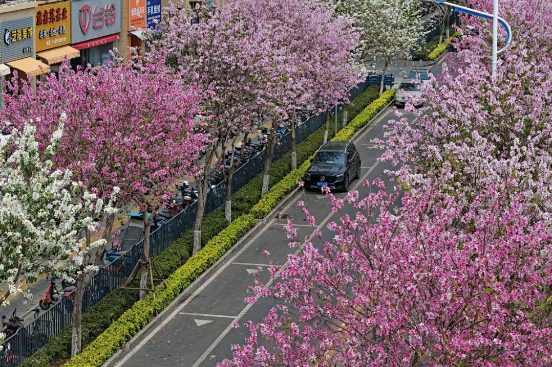 Coastal city of Xiamen covered in a romantic pink hue