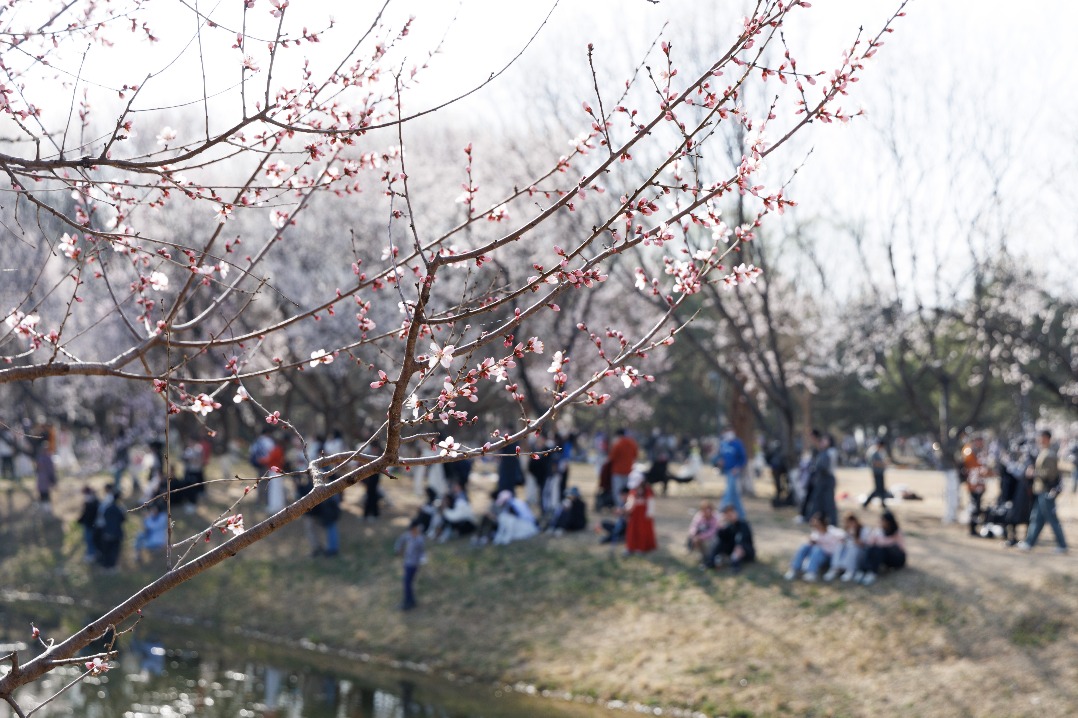 Beijing universities roll out spring break activities for students
